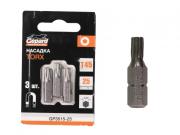 Насадка TORX T45 25мм  3шт GEPARD (GP3515‑25)