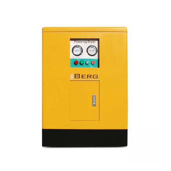 Осушитель воздуха Berg ОВ-55 (до 16 бар)